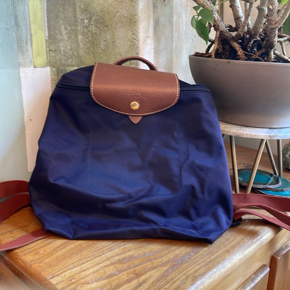 🎪Longchamp purple and brown small backpack